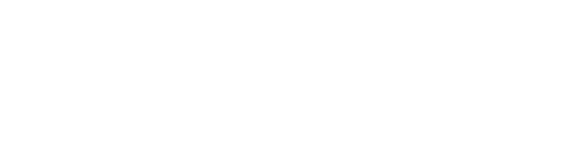 CodingAID logo White PNG